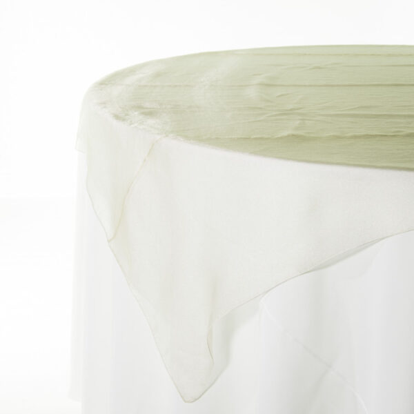 Organza Khaki - Image 2