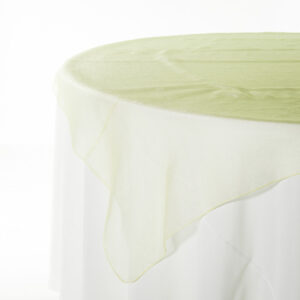Organza Maize - Image 2