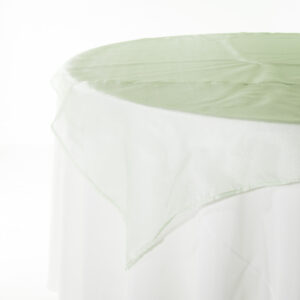 Organza Celadon - Image 2