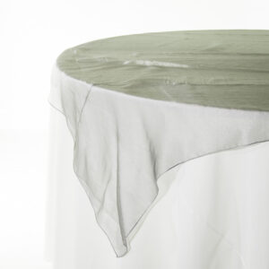 Organza Steel - Image 2