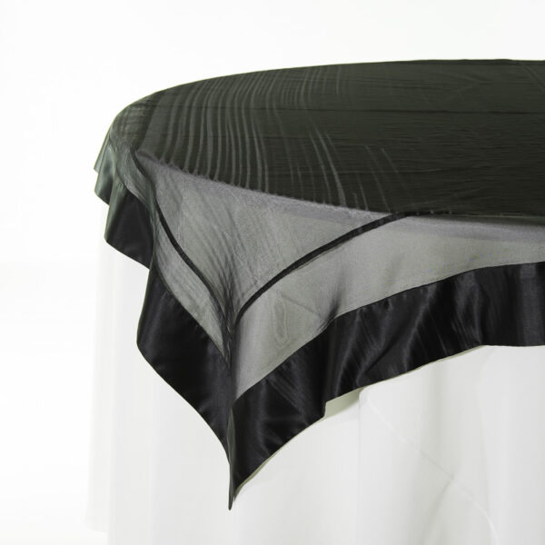 Organza with Black Lamour Border - Image 2