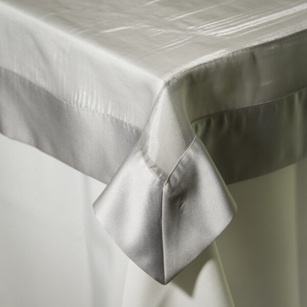 Organza with Silver Lamour Border