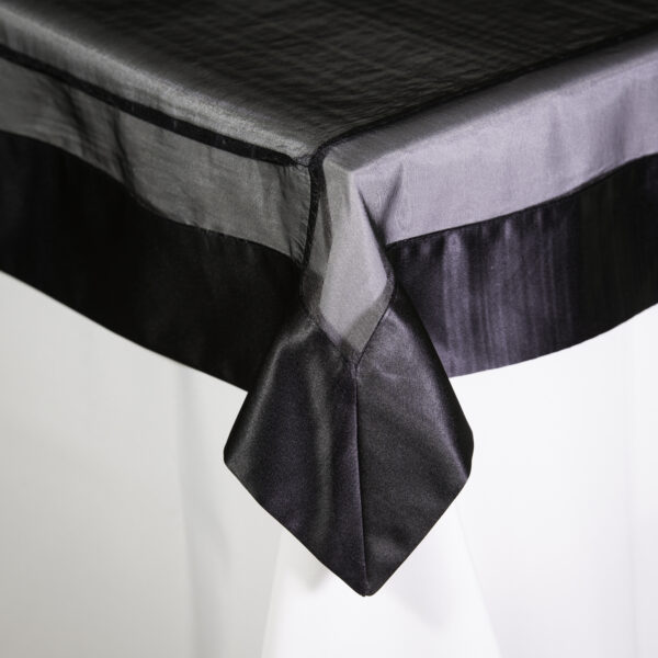 Organza with Black Lamour Border