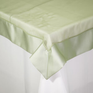 Lamour Satin and Voile Border Celadon