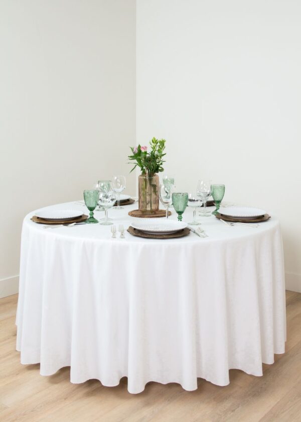 Cottonese White - Image 15