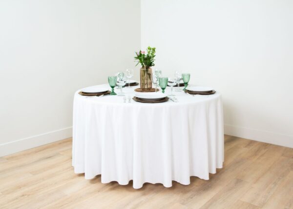 Cottonese White - Image 16