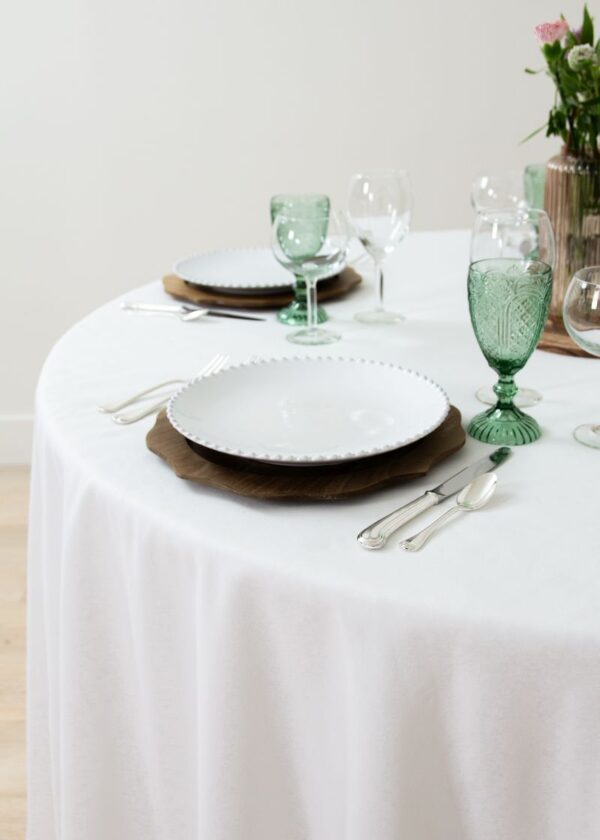 Cottonese White - Image 3