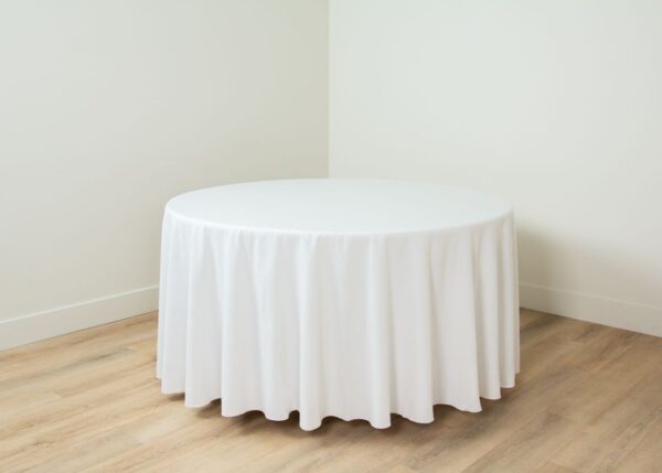 Cottonese White - Image 5