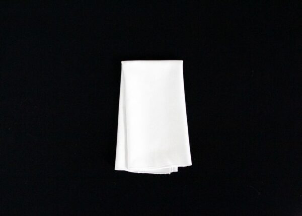 Cottonese White - Image 13