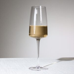 Tritan Modern Champagne Glass