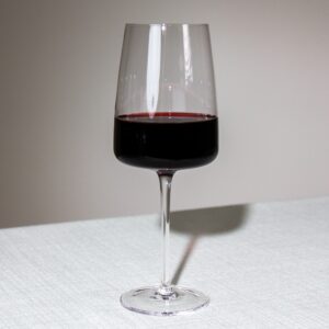 Tritan Modern Red Wine Glass