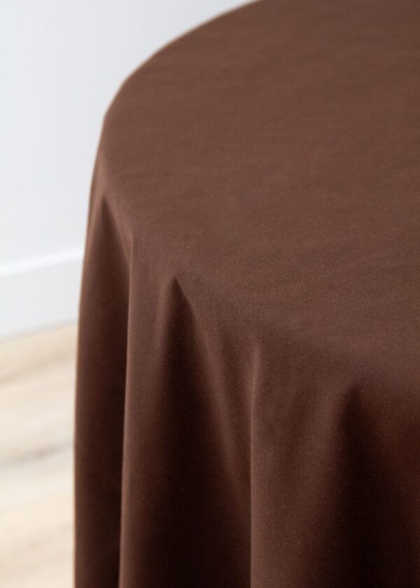 Cottonese Chocolate - Image 7