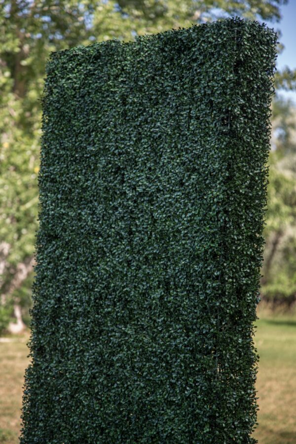 Boxwood Hedge Wall | 8' x 4' - Image 3