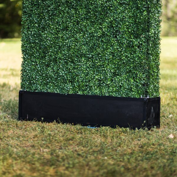 Boxwood Hedge Wall | 8' x 4' - Image 4