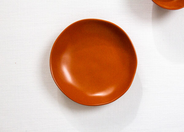 Heirloom Terracotta 9" Pasta Bowl - Image 2