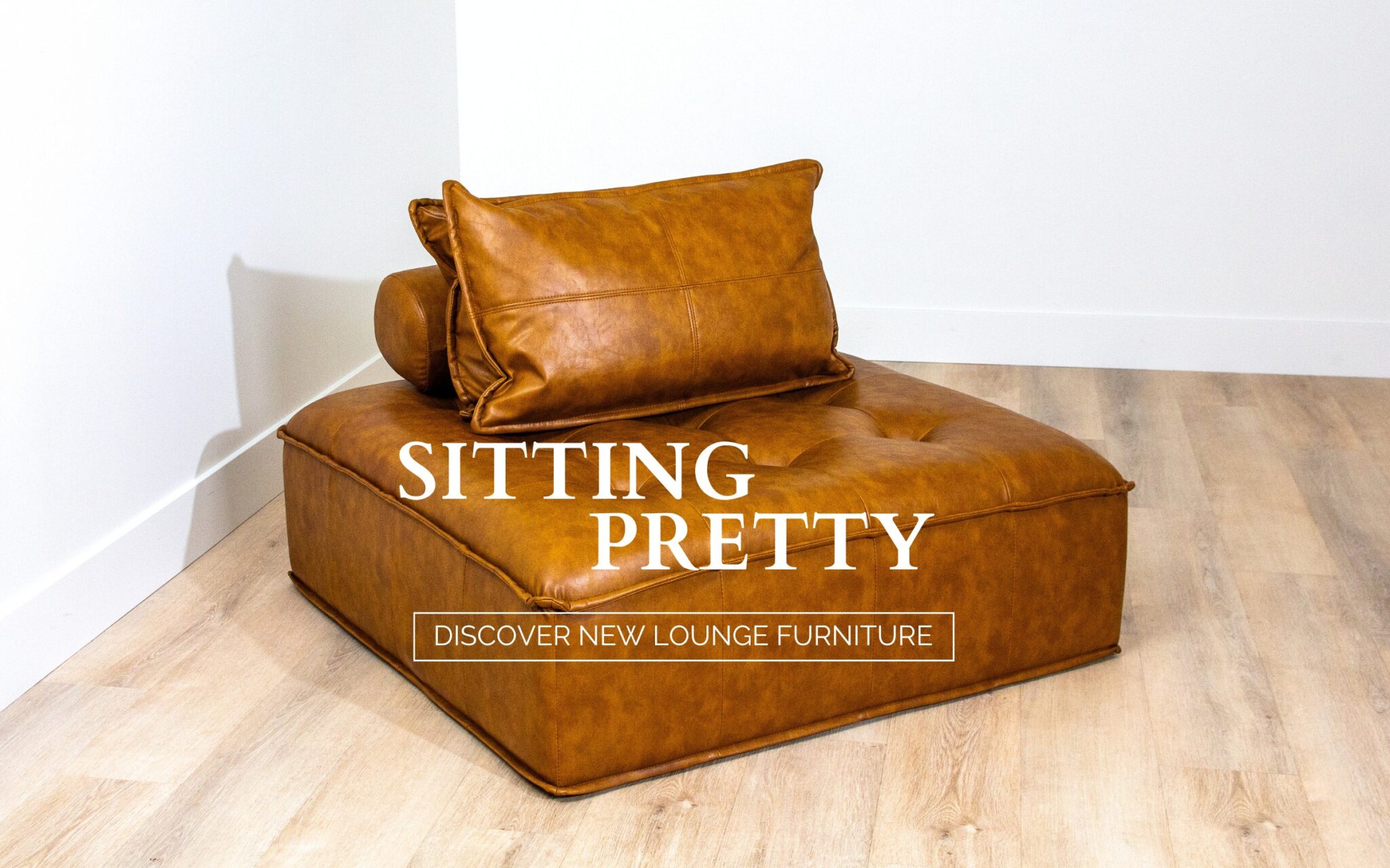 Brown leather lounge chair