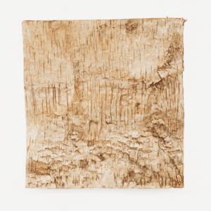 Birch Square Charger | 12"