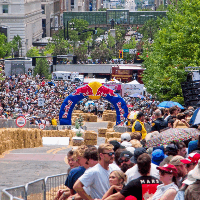 Successful Event Case Studies | Diamond Event & Tent
