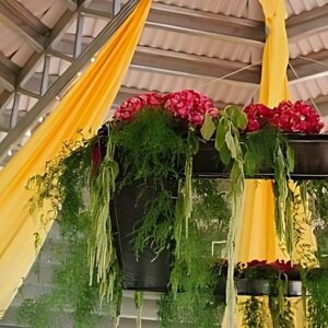 Hanging Floral Frame | 6' x 6'