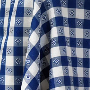 Gingham Blue White