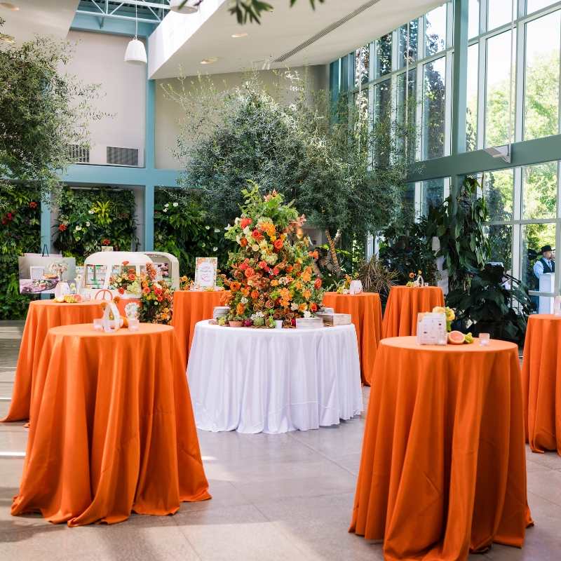 Utah Bride & Groom White Party 2025
