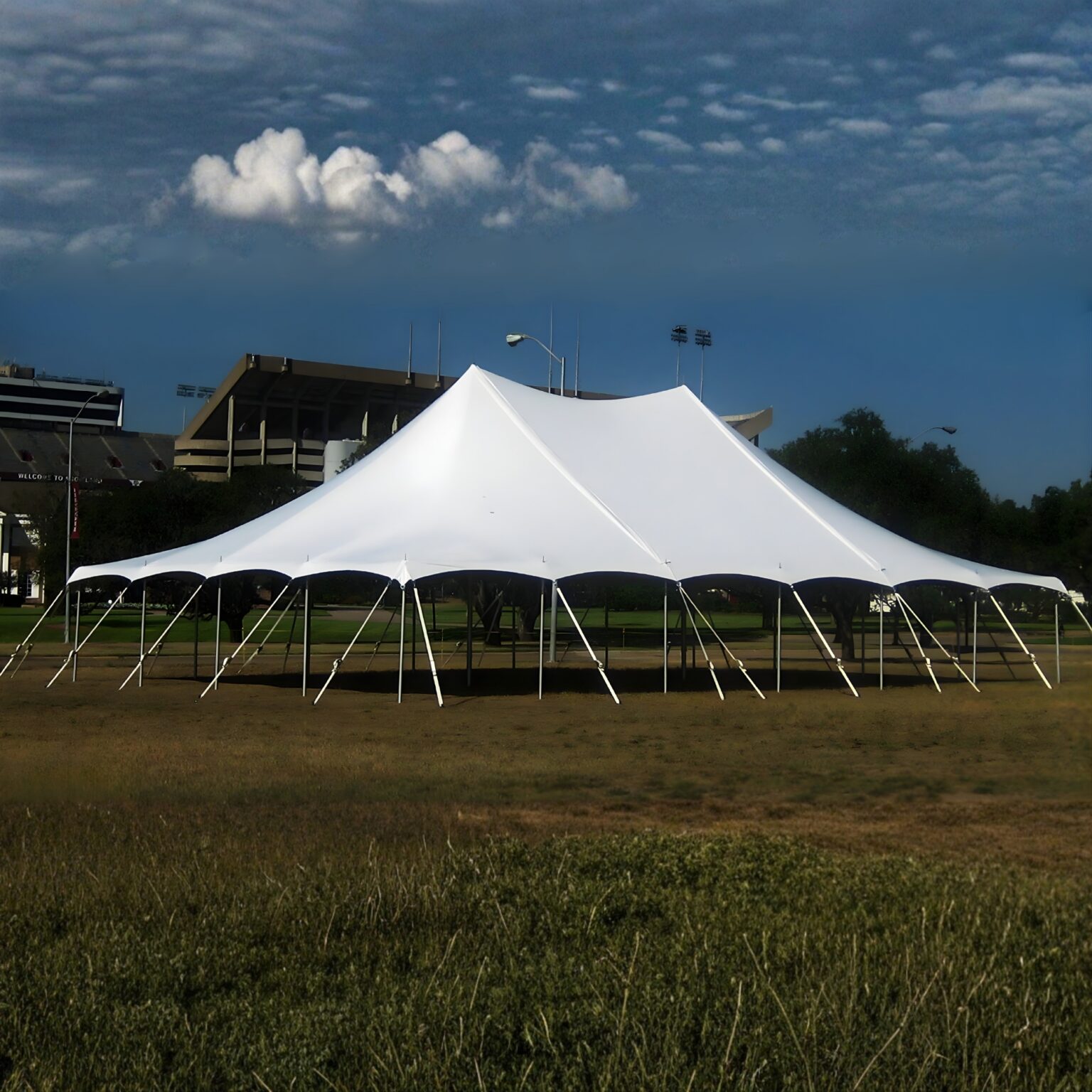 Event Capopy Single Pole Canopy | Diamond Event